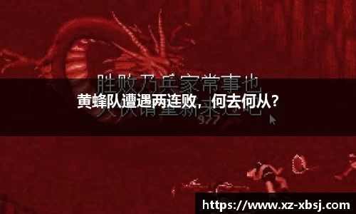 黄蜂队遭遇两连败，何去何从？