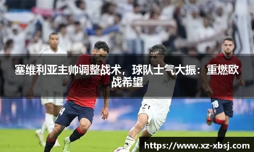 NG体育APP