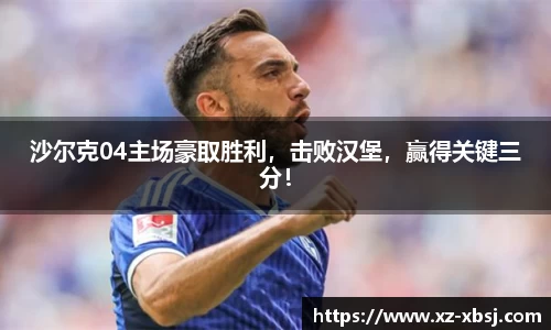 沙尔克04主场豪取胜利，击败汉堡，赢得关键三分！