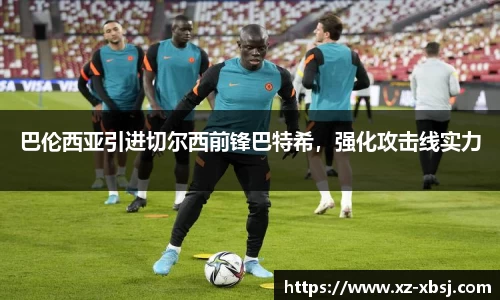 NG体育官网