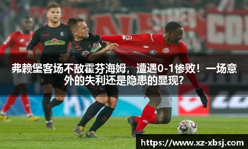 NG体育下载