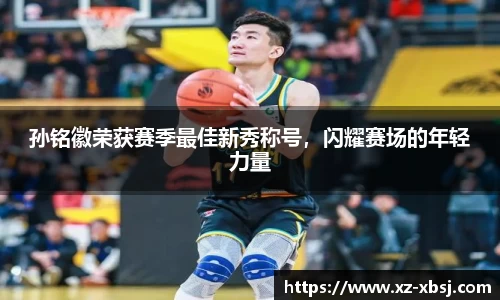 NG体育下载