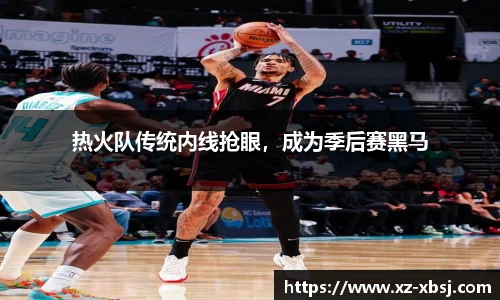 热火队传统内线抢眼，成为季后赛黑马