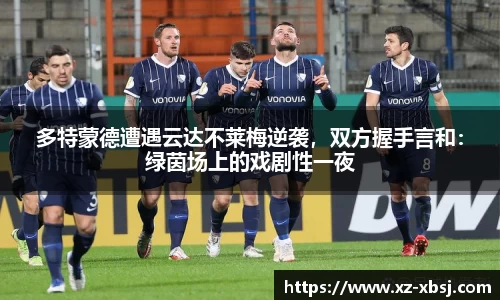 NG体育官网