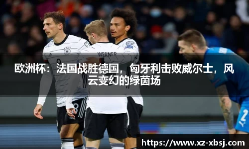 欧洲杯：法国战胜德国，匈牙利击败威尔士，风云变幻的绿茵场