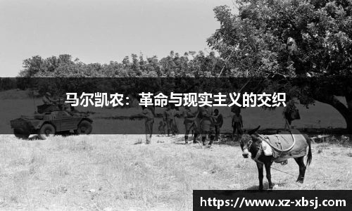 马尔凯农：革命与现实主义的交织
