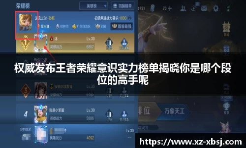 NG体育APP