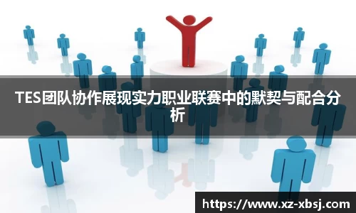 TES团队协作展现实力职业联赛中的默契与配合分析