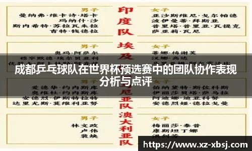 成都乒乓球队在世界杯预选赛中的团队协作表现分析与点评