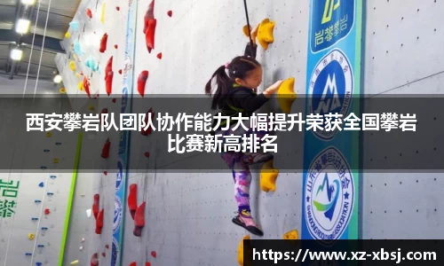 NG体育下载
