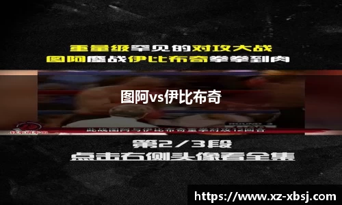图阿vs伊比布奇