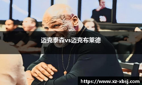 迈克泰森vs迈克布莱德
