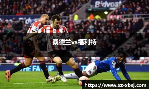 桑德兰vs福利特