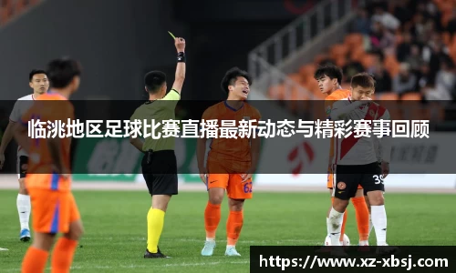 临洮地区足球比赛直播最新动态与精彩赛事回顾
