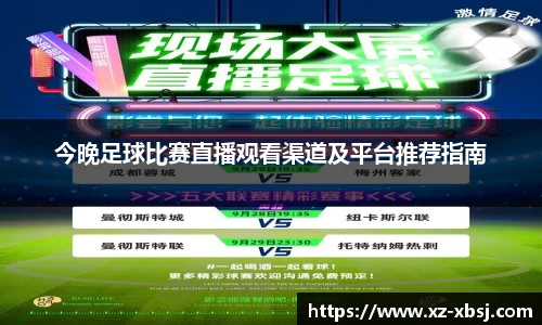 NG体育网址