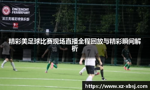 NG体育网址