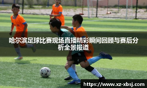 哈尔滨足球比赛现场直播精彩瞬间回顾与赛后分析全景报道