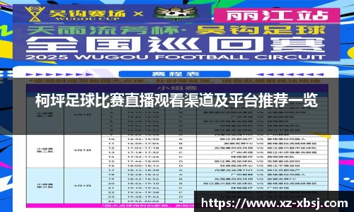 NG体育网址