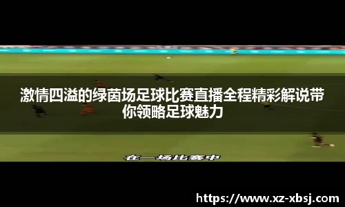 NG体育APP