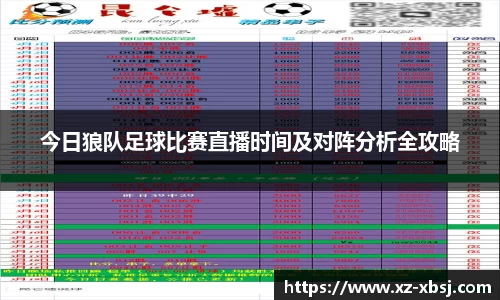 NG体育下载
