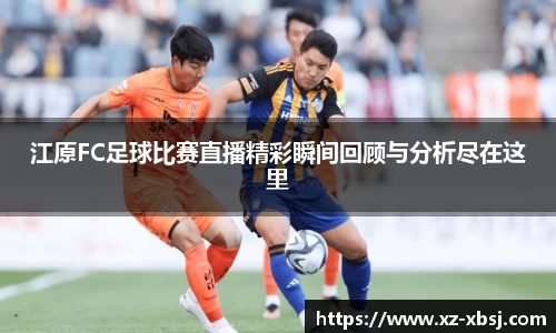 NG体育下载