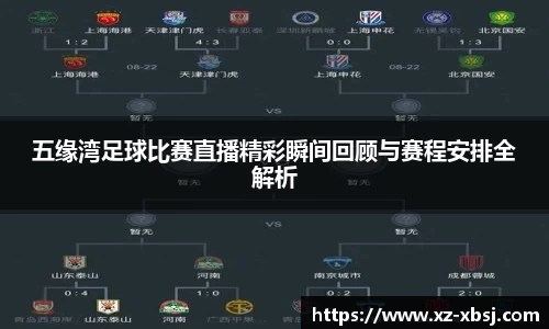 NG体育APP