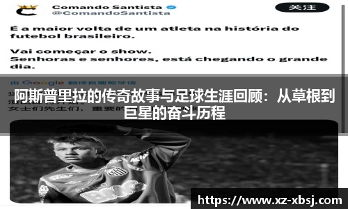 NG体育下载