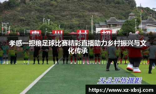 NG体育下载