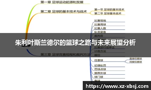 NG体育官网