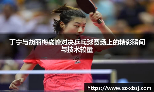 丁宁与胡丽梅巅峰对决乒乓球赛场上的精彩瞬间与技术较量